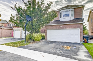 41 Cascaden St, Scarborough, ON M1V 5L7, Canada, ,  