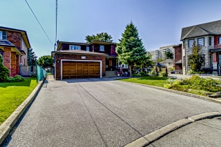 119 Glen Long Ave, North York, ON M6B 2M4, Canada, ,  