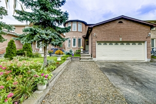 31 Castlehill Rd, Brampton, ON L6X 4E3, Canada, ,  