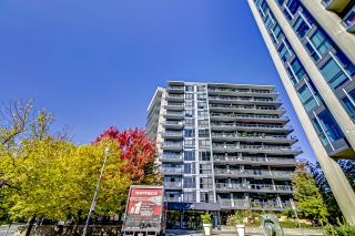 Unit 305-85 The Donway W, North York, ON M3C 0L9, Canada, ,  